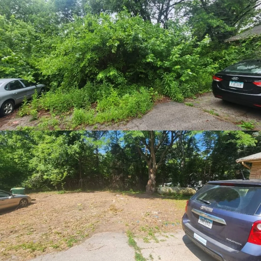 Top-rated landscape design with custom design across Norwalk, IA - Harbour's Lawn