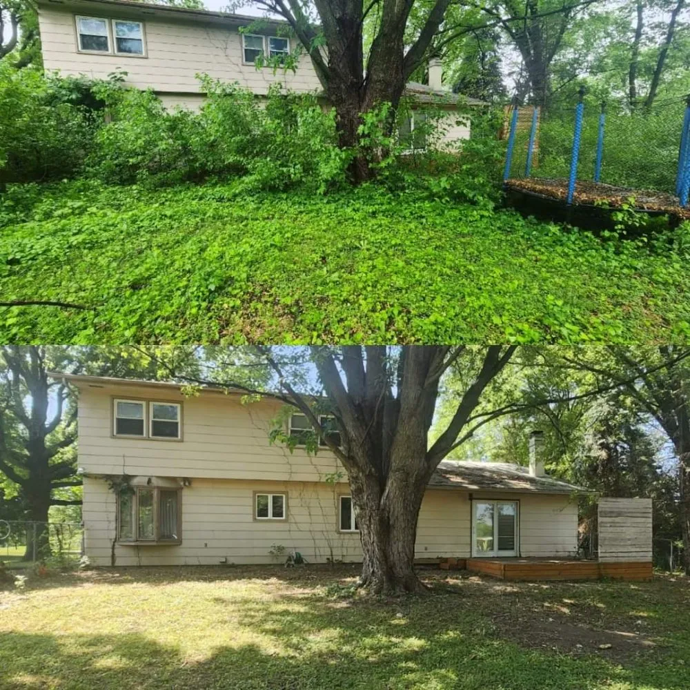 Trusted landscape installation for year-round maintenance in Norwalk, IA by Harbour's Lawn