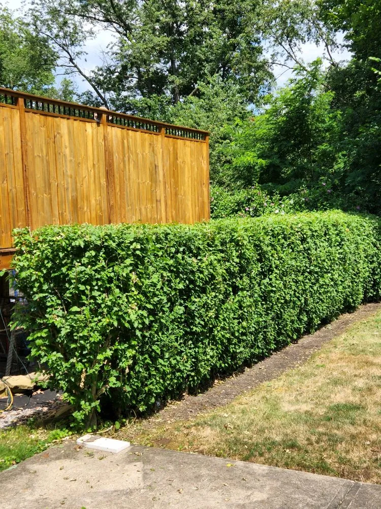 Custom landscape installation near you in Sewickley, PA by Hard Edge