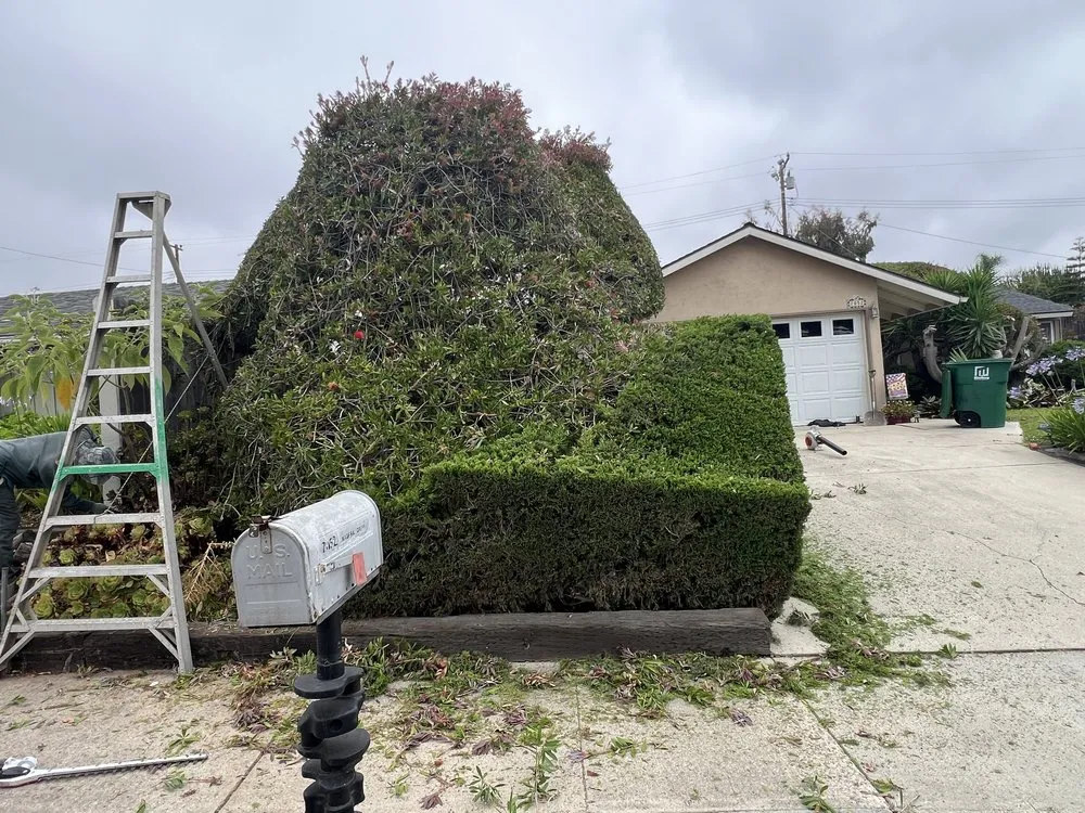 Reliable lawn care service experts serving Oxnard, CA - Hard Knock Landscape