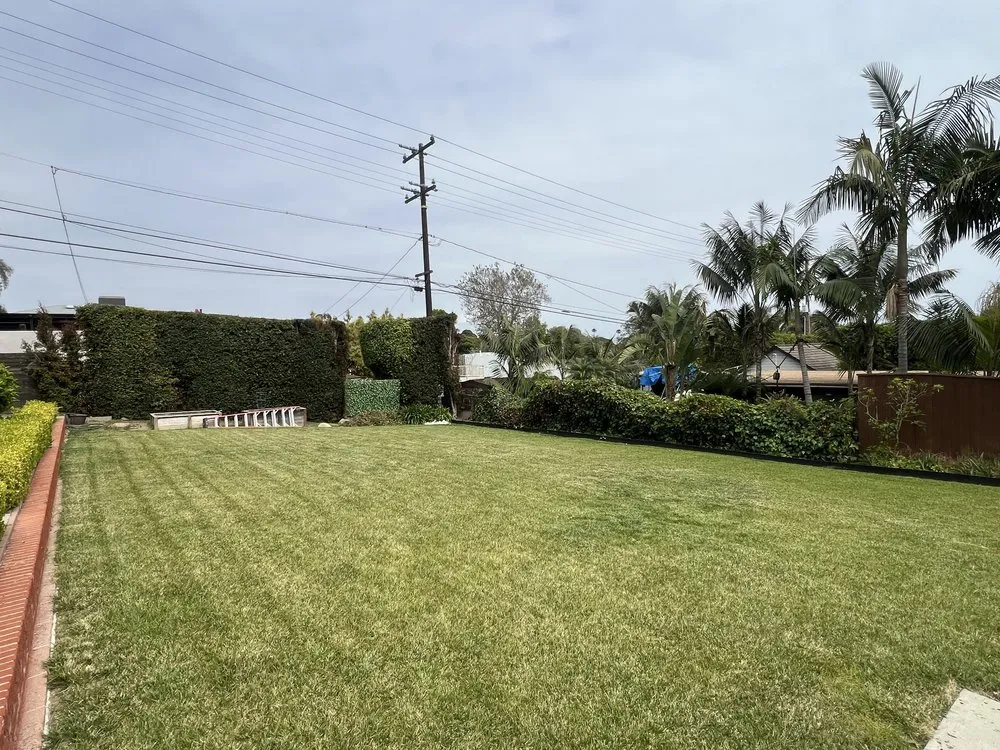 Custom landscaping services in Oxnard, CA - Hard Knock Landscape