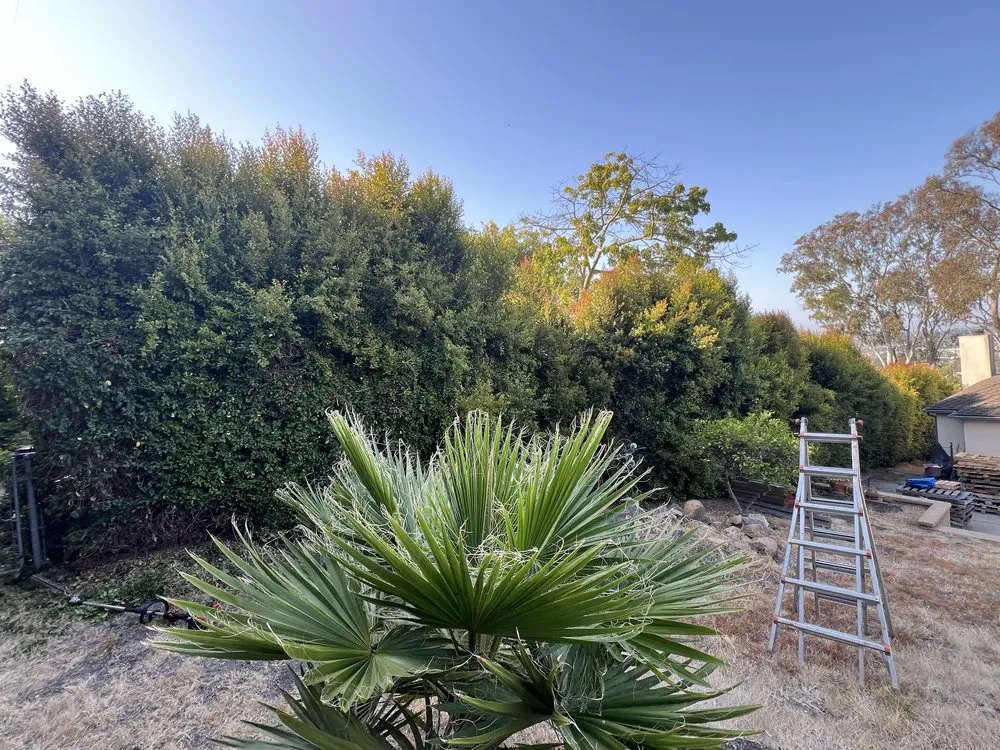 Trusted landscaping services for outdoor upgrades in Oxnard, CA by Hard Knock Landscape