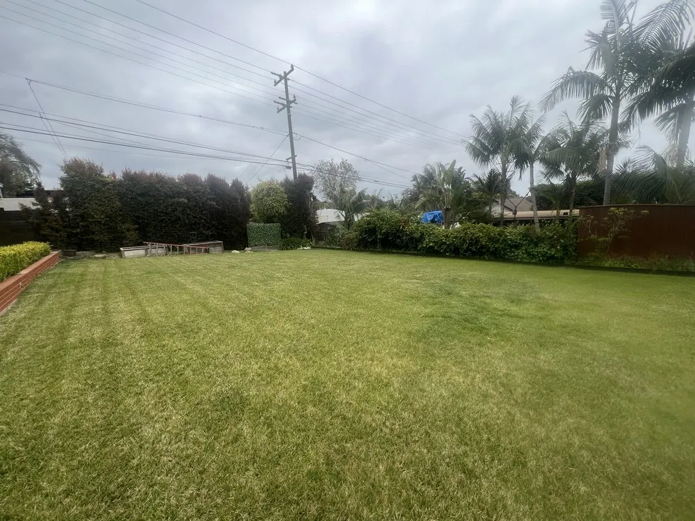 Local residential landscaping for residential properties in Oxnard, CA by Hard Knock Landscape