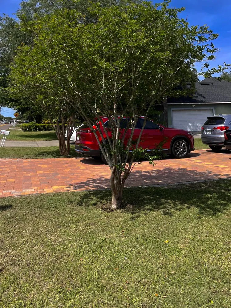 Expert landscape installation experts serving Clermont, FL - Hard Knock Lawn Service