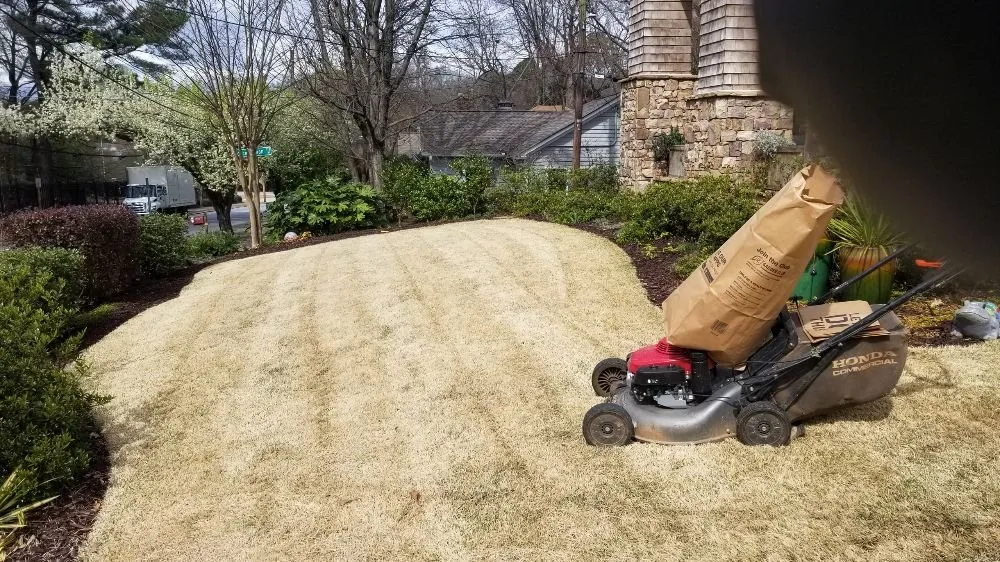 Affordable yard cleanup service for homes across Roswell, GA - Hard-Pro Landscaping