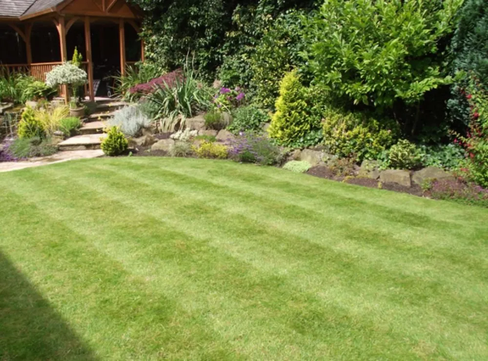 Affordable residential landscaping in Roswell, GA by Hard-Pro Landscaping