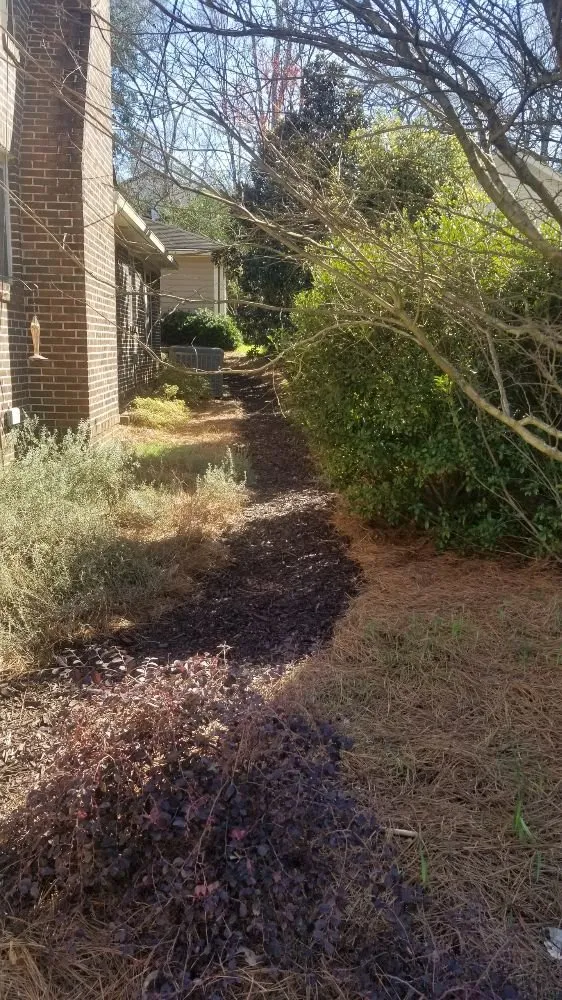 Professional yard cleanup service experts serving Roswell, GA - Hard-Pro Landscaping