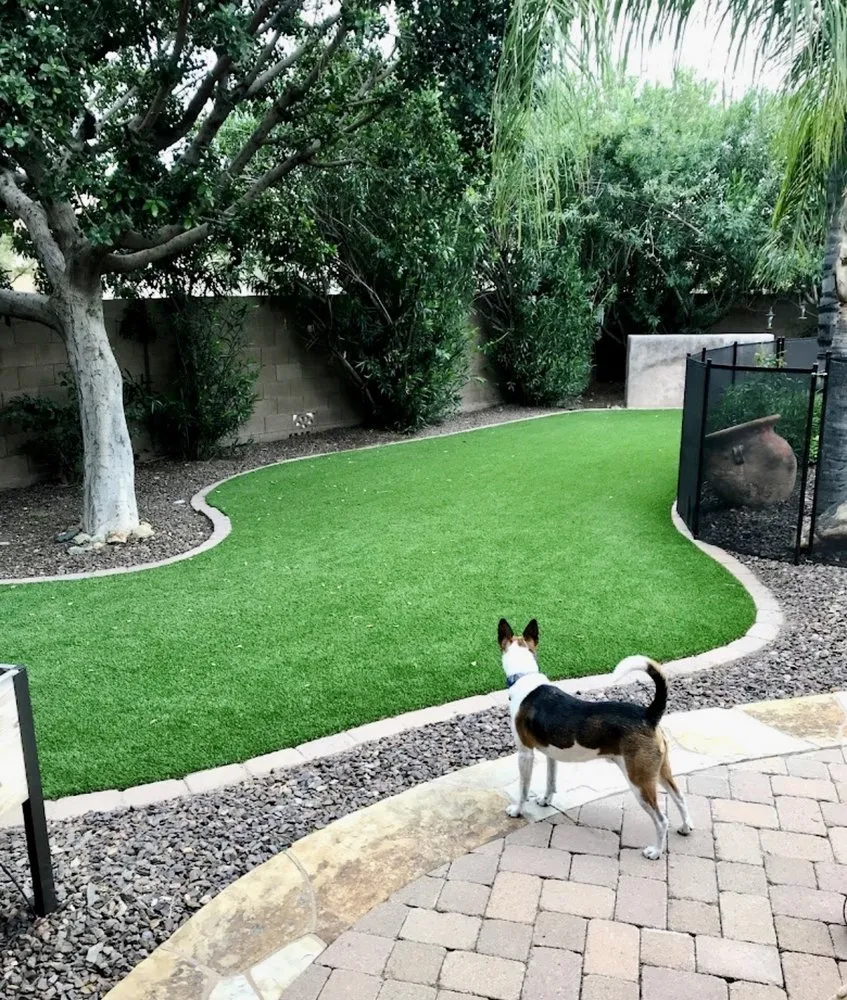 Professional residential landscaping with custom design across Modesto, CA - Hard Rock & Turf Landscape