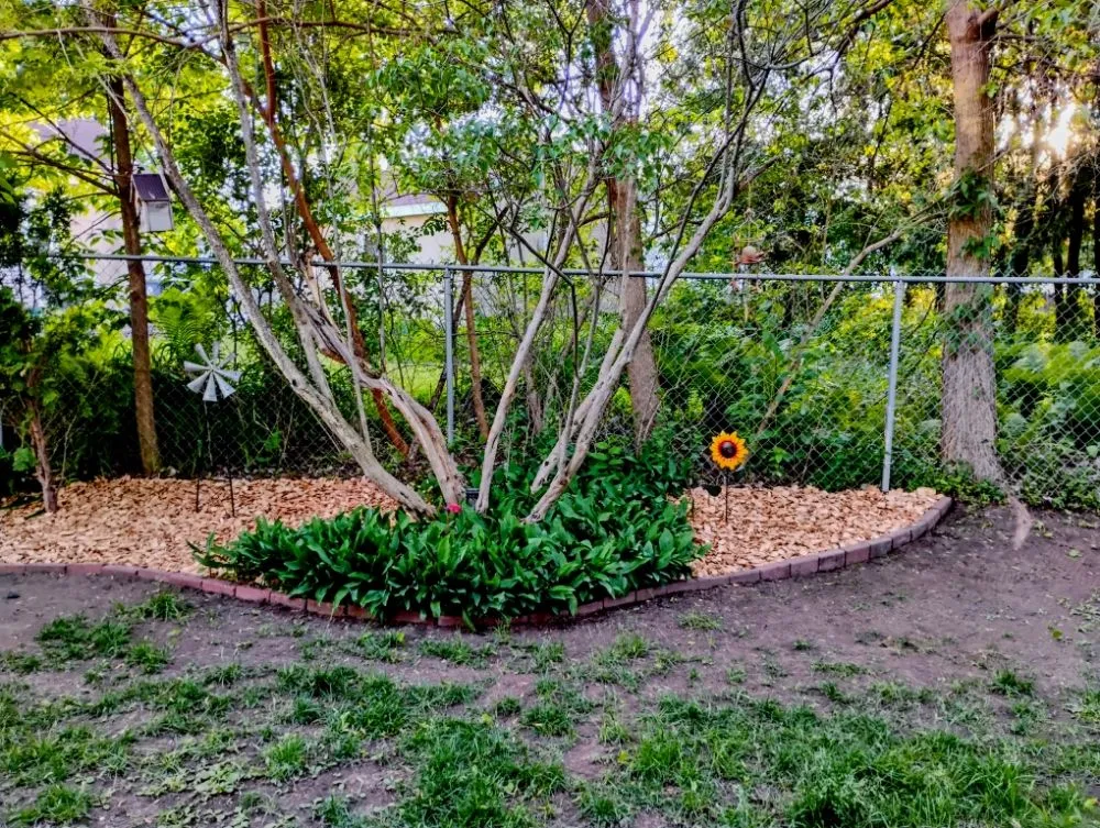 Custom lawn care service for year-round maintenance in La Crosse, WI by Hard Rock Landscaping