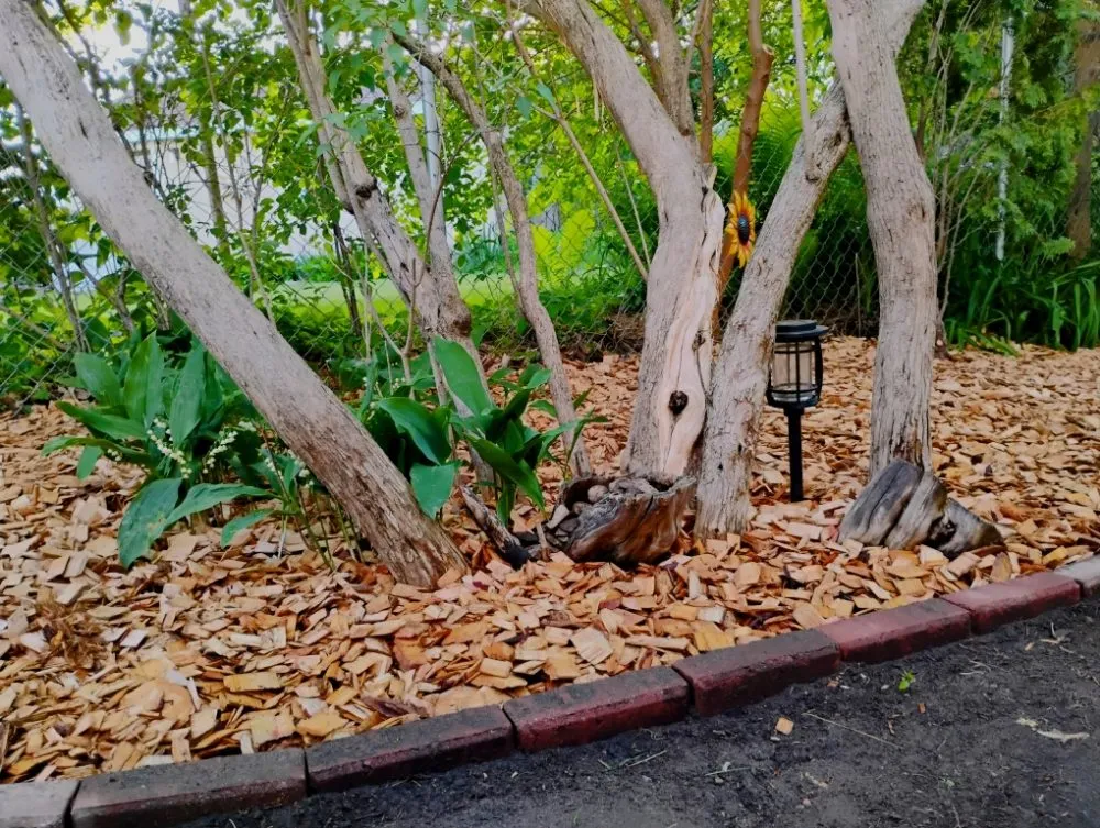 Reliable landscape installation with custom design across La Crosse, WI - Hard Rock Landscaping