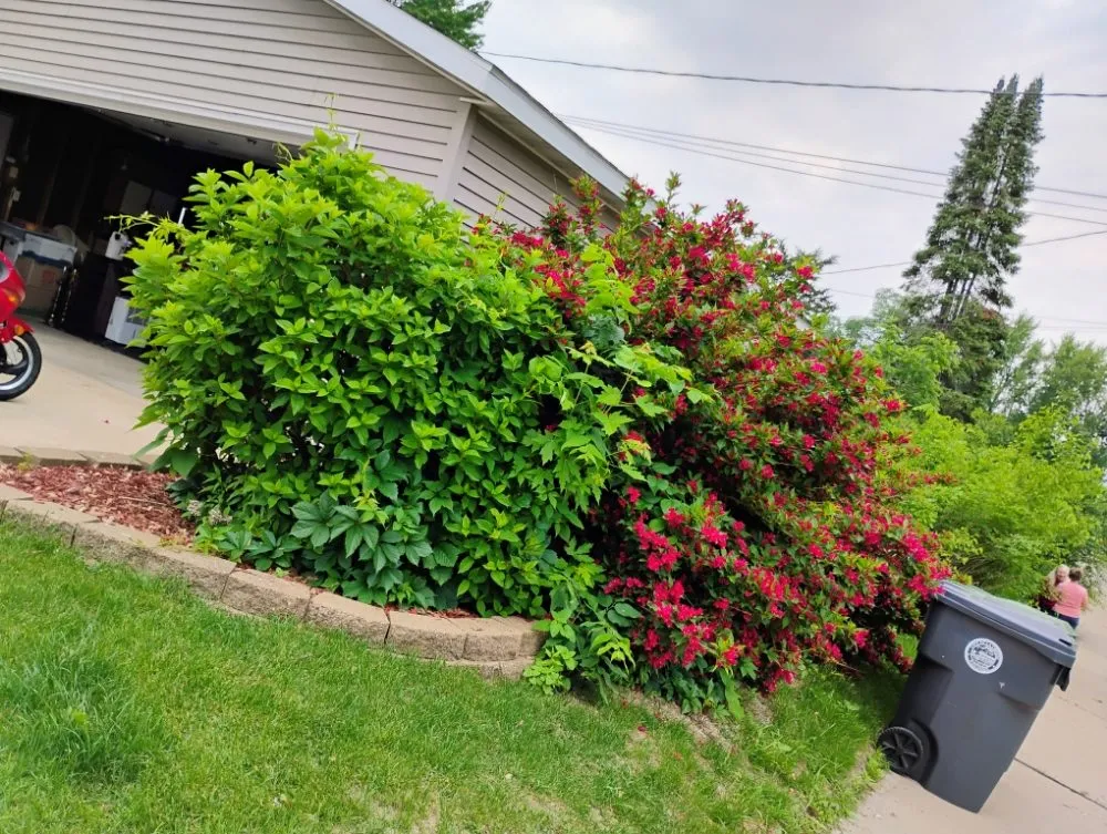 Expert landscape installation in La Crosse, WI by Hard Rock Landscaping