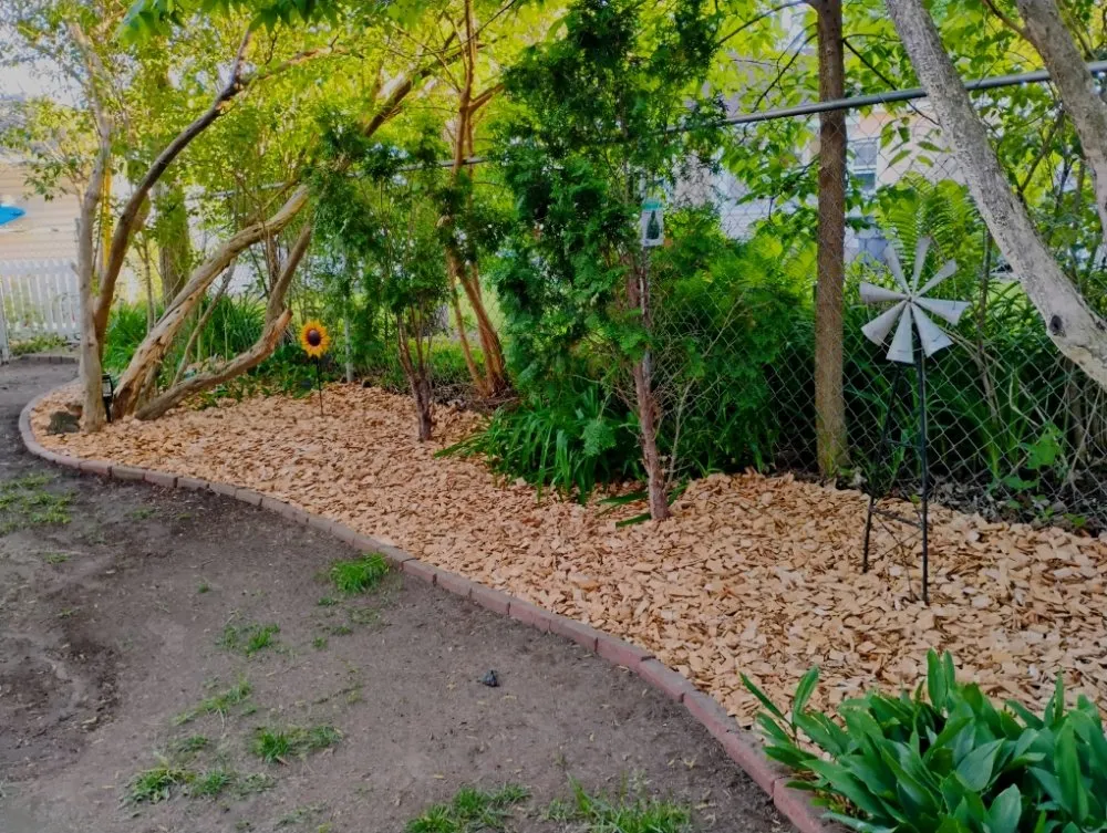 Top-rated lawn care service in La Crosse, WI by Hard Rock Landscaping