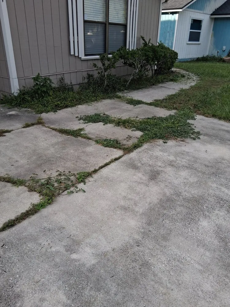 Reliable yard maintenance in Fernandina Beach, FL by Hard Workin Bee Landscaping