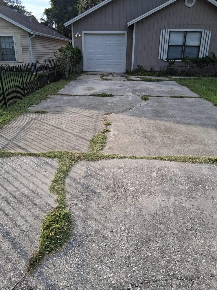 Expert landscape design experts serving Fernandina Beach, FL - Hard Workin Bee Landscaping