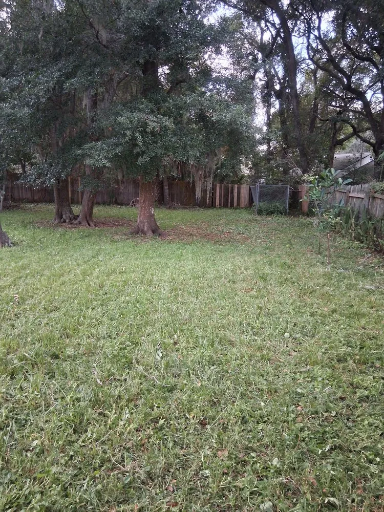 Affordable yard maintenance in Fernandina Beach, FL by Hard Workin Bee Landscaping