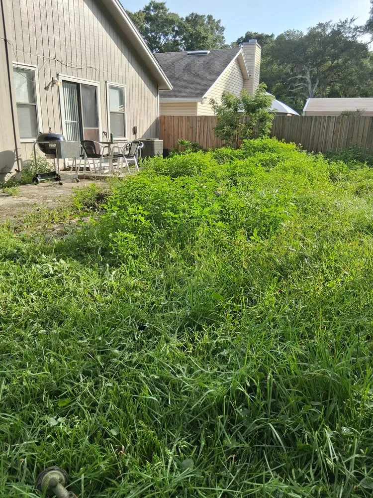 Custom lawn mowing service in Fernandina Beach, FL by Hard Workin Bee Landscaping