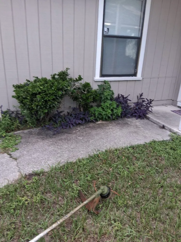 Expert yard cleanup service experts serving Fernandina Beach, FL - Hard Workin Bee Landscaping