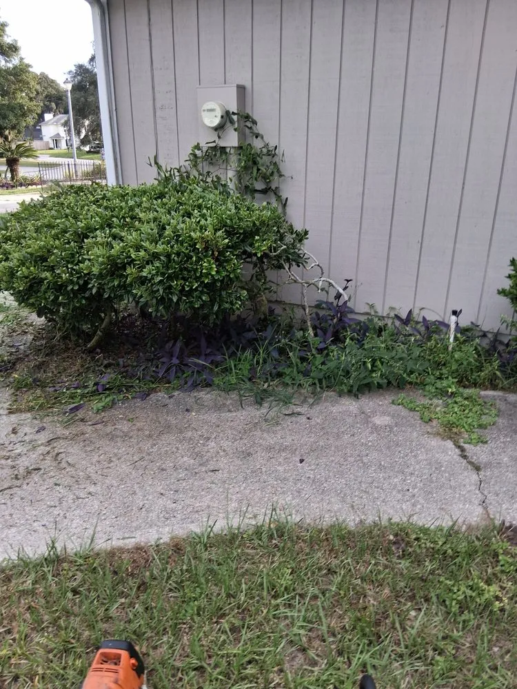 Trusted yard cleanup service for homes across Fernandina Beach, FL - Hard Workin Bee Landscaping
