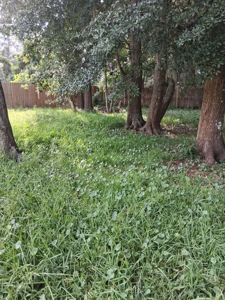 Custom lawn mowing service for outdoor upgrades in Fernandina Beach, FL by Hard Workin Bee Landscaping