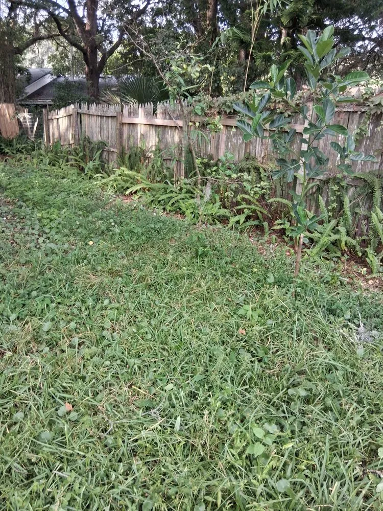 Custom landscape installation for outdoor upgrades across Fernandina Beach, FL - Hard Workin Bee Landscaping