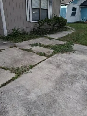 Hard Workin Bee Landscaping Logo