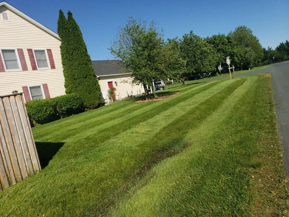 Expert lawn care service for year-round maintenance in Winchester, VA by Hard Yardz