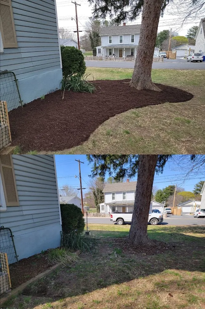 Reliable yard cleanup service for outdoor upgrades in Winchester, VA by Hard Yardz