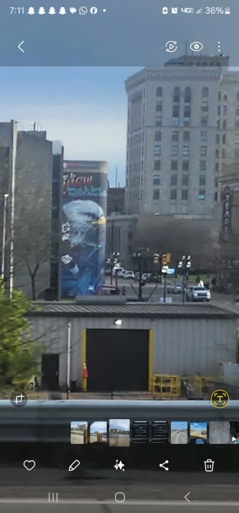 Expert yard maintenance experts serving Flint, MI - Hardcore Moving