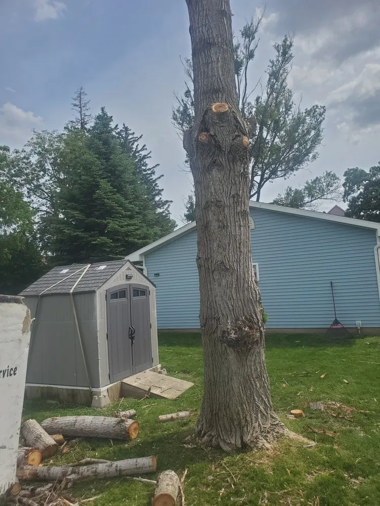 Trusted outdoor landscaping in Traer, IA by Hardcutz tree service