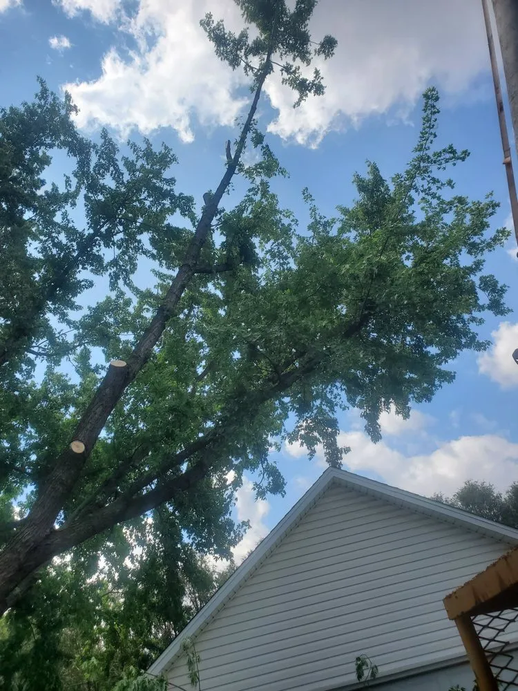 Reliable garden landscaping experts serving Traer, IA - Hardcutz tree service