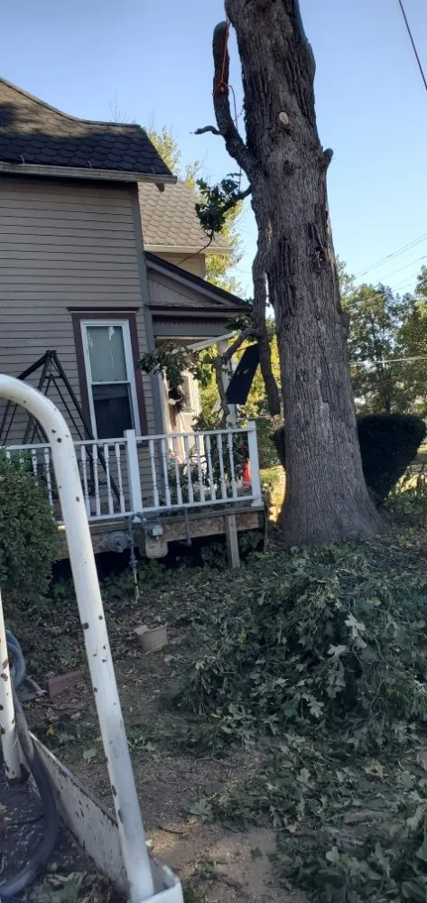 Expert outdoor landscaping in Traer, IA by Hardcutz tree service