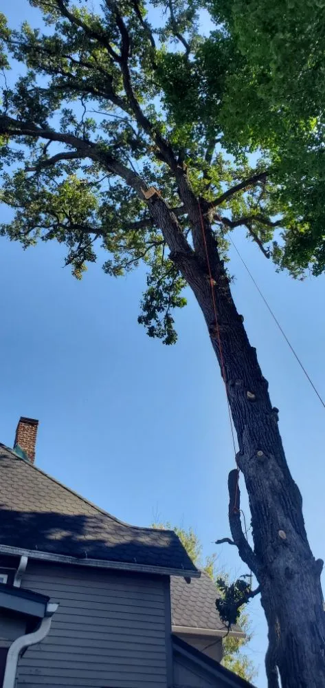 Local garden landscaping in Traer, IA - Hardcutz tree service