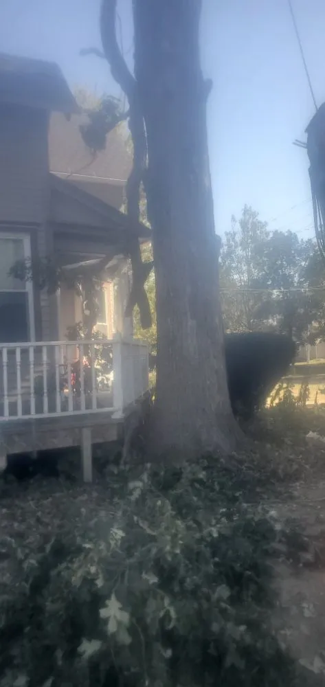 Professional yard cleanup service for beautiful yards in Traer, IA by Hardcutz tree service