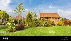 Custom outdoor landscaping experts serving Cairo, GA - Harden's Southern Services