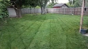 Local lawn care service in Cairo, GA by Harden's Southern Services