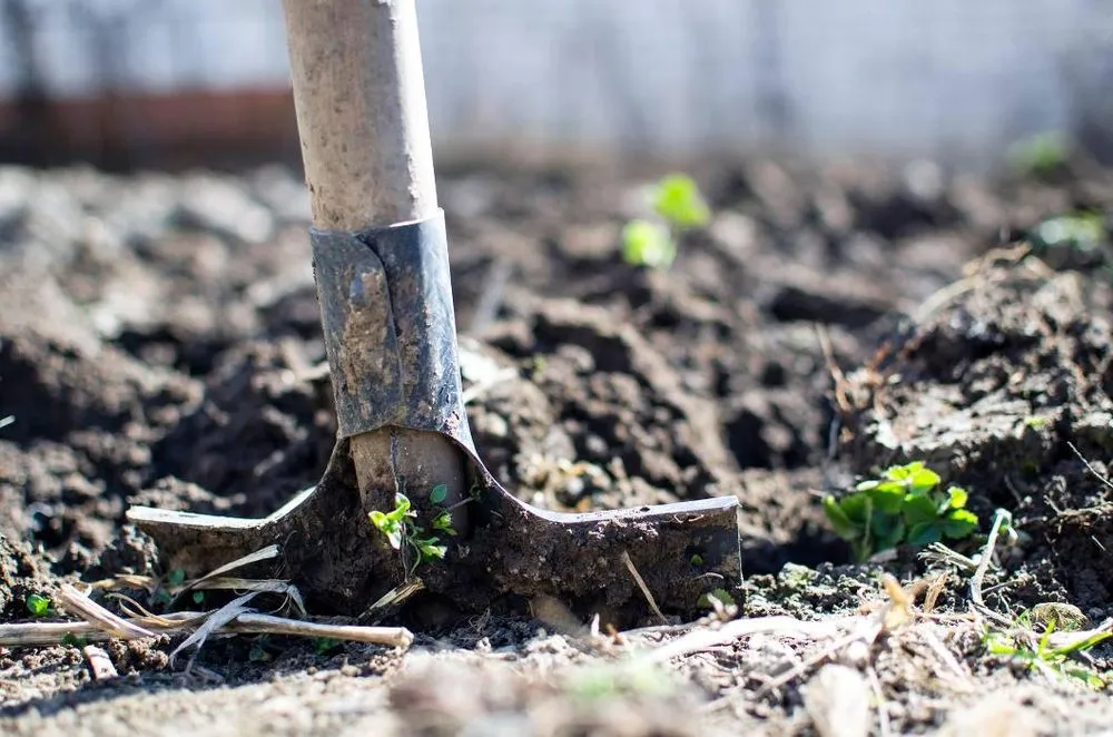 Top-rated garden landscaping in Caledonia, MI by Harder & Warner