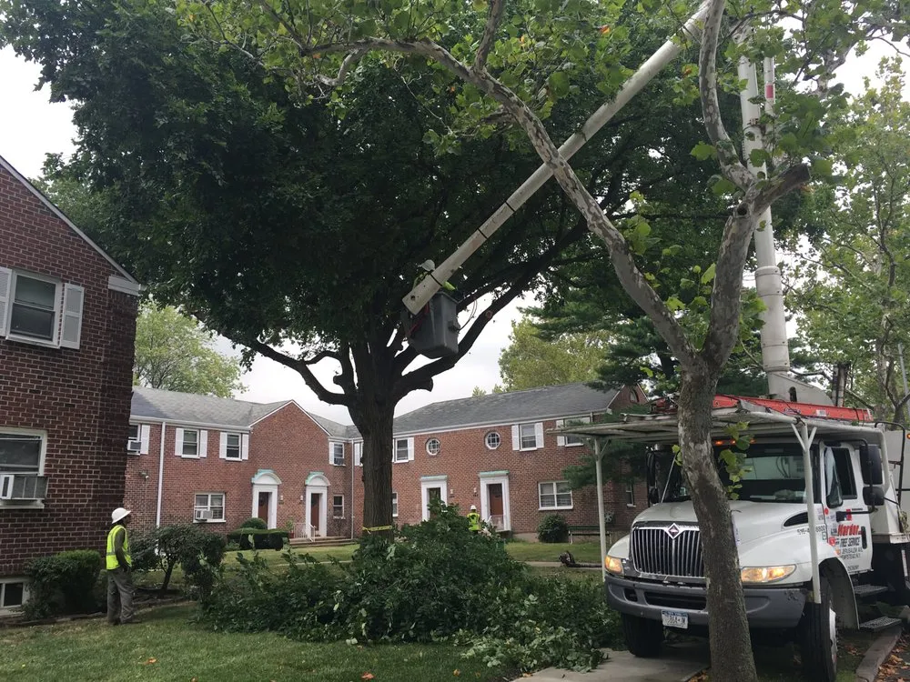 Top-rated outdoor landscaping experts serving Hempstead, NY - Harder Tree and Landscape Service