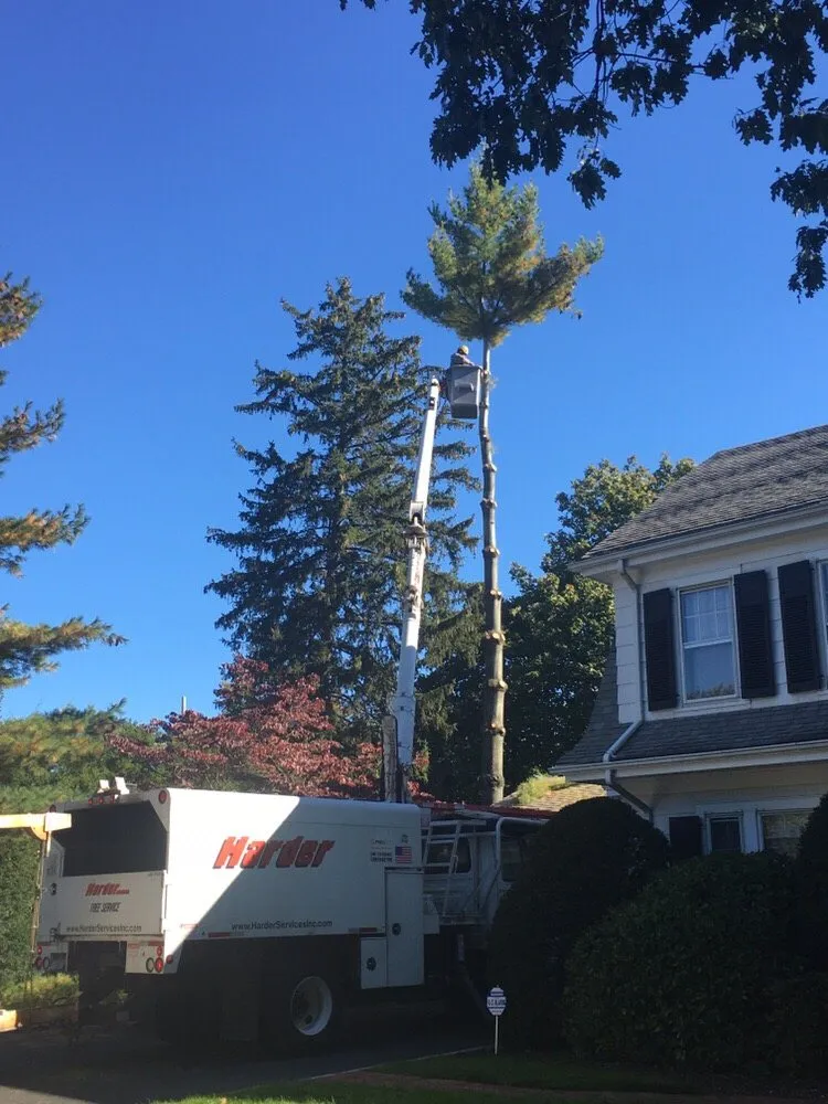 Expert residential landscaping near you across Hempstead, NY - Harder Tree and Landscape Service