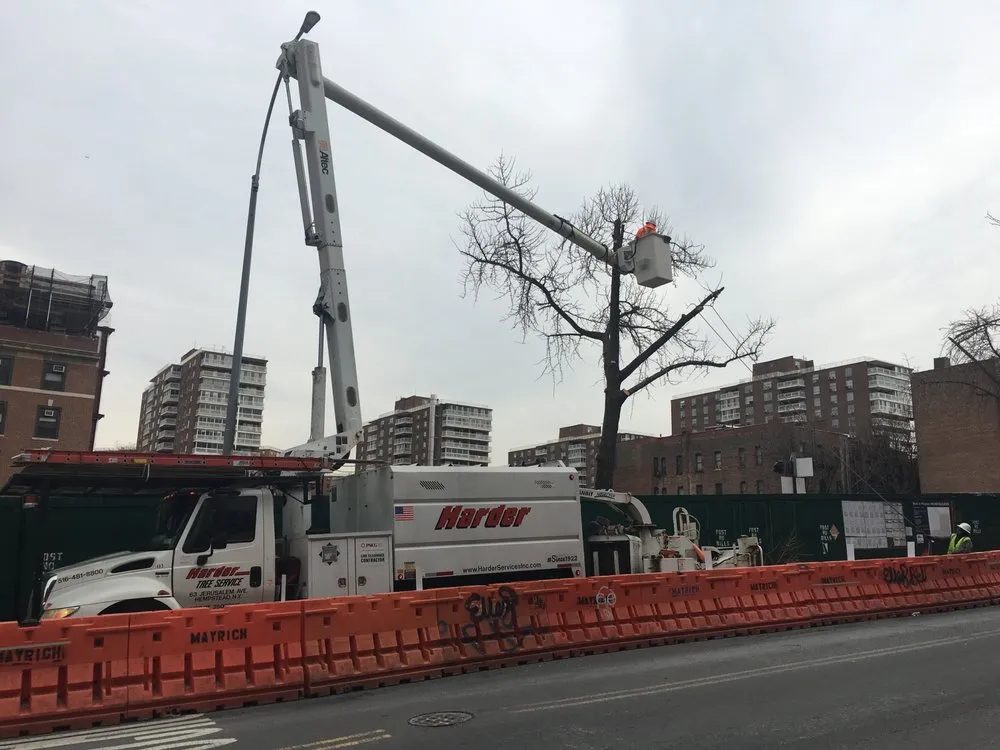 Professional yard cleanup service for homes across Hempstead, NY - Harder Tree and Landscape Service