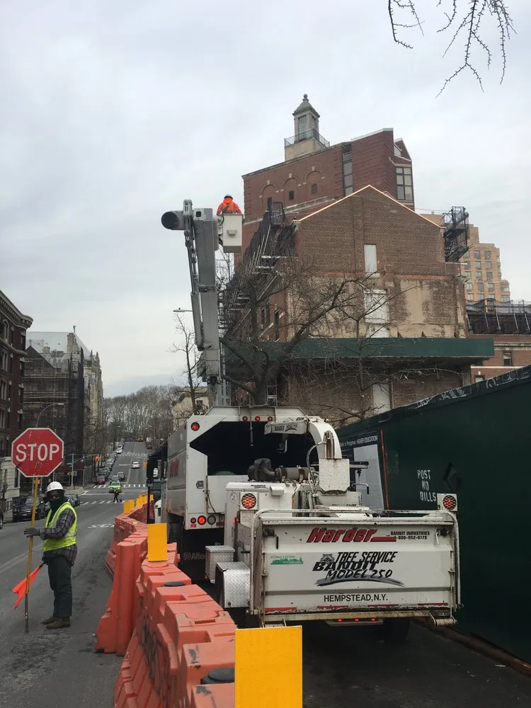 Affordable yard cleanup service in Hempstead, NY by Harder Tree and Landscape Service