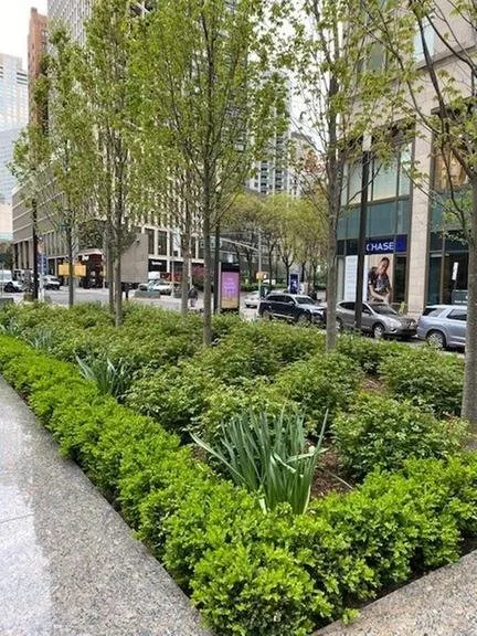 Expert landscaping services in Hempstead, NY by Harder Tree and Landscape Service