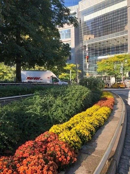 Reliable residential landscaping for outdoor upgrades across Hempstead, NY - Harder Tree and Landscape Service