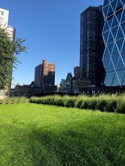 Professional landscaping services experts serving Hempstead, NY - Harder Tree and Landscape Service