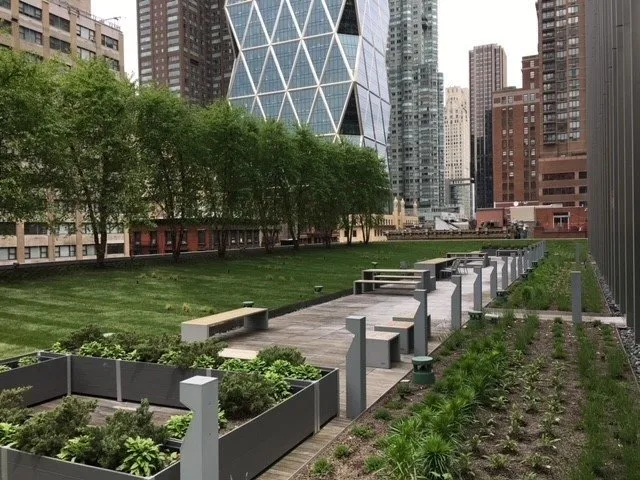 Affordable yard cleanup service experts serving Hempstead, NY - Harder Tree and Landscape Service