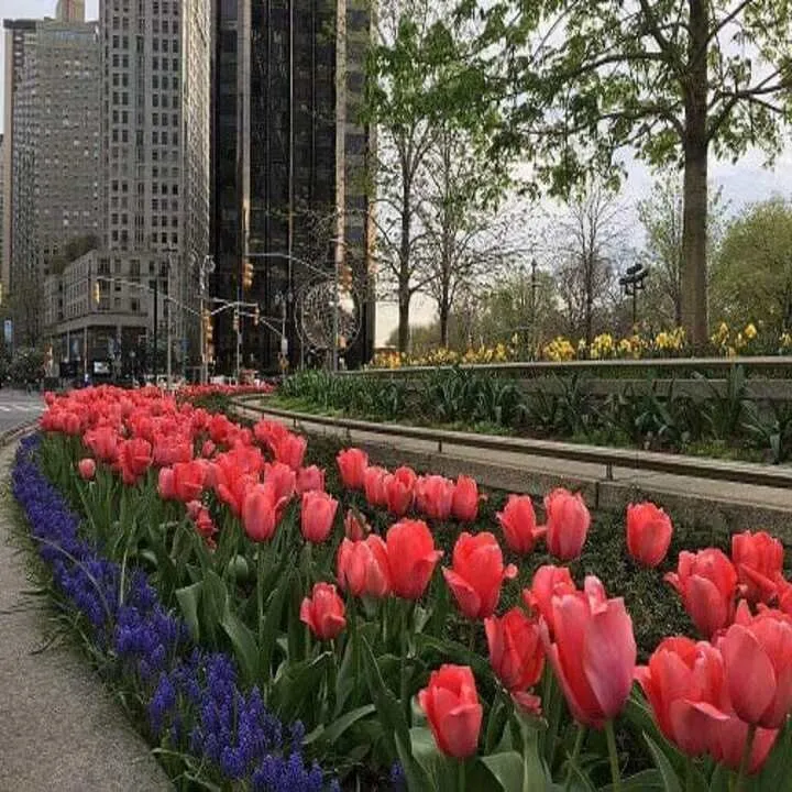 Affordable residential landscaping for outdoor upgrades in Hempstead, NY by Harder Tree and Landscape Service