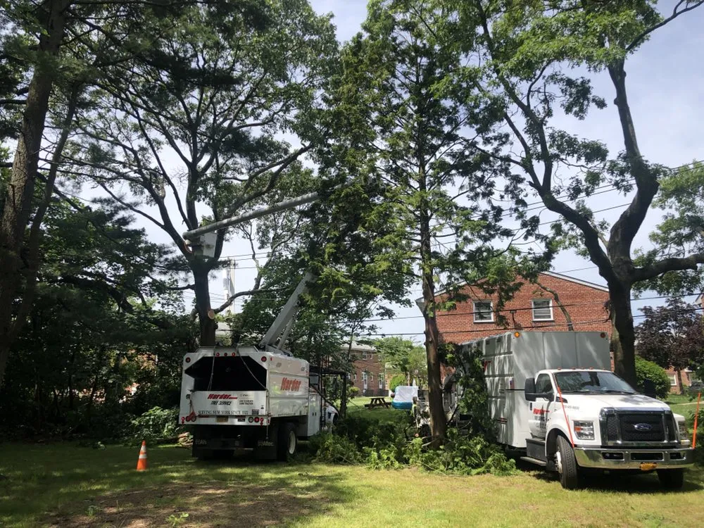 Trusted lawn care service for homes in Hempstead, NY by Harder Tree and Landscape Service