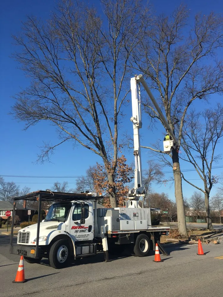 Expert lawn mowing service for outdoor upgrades in Hempstead, NY by Harder Tree and Landscape Service