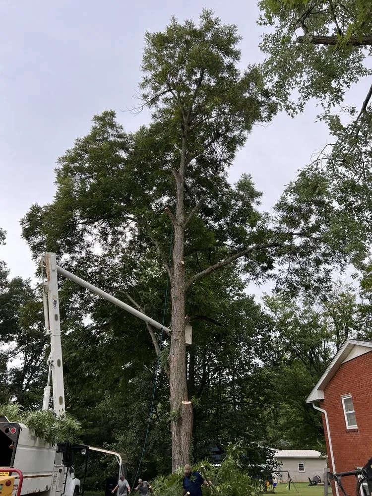 Top-rated garden landscaping in Elizabethtown, KY by Hardin County Tree Service