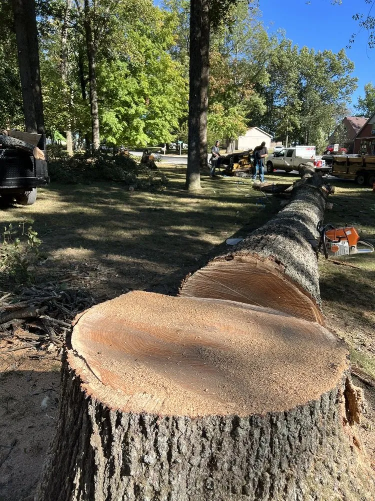 Expert landscape design experts serving Elizabethtown, KY - Hardin County Tree Service