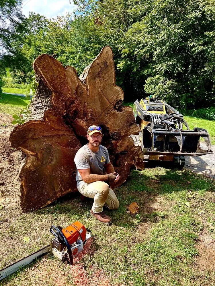 Reliable garden landscaping for year-round maintenance across Elizabethtown, KY - Hardin County Tree Service